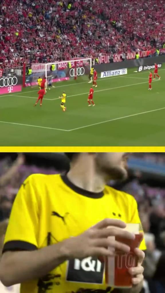 勇者無(wú)懼！這是真多特球迷！在拜仁球迷區(qū)一個(gè)人肆意慶祝！